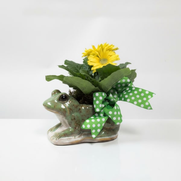 Petal Hopper