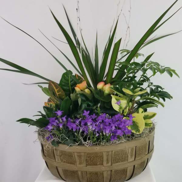 Smith Greenhouse Designer Garden with Blooming