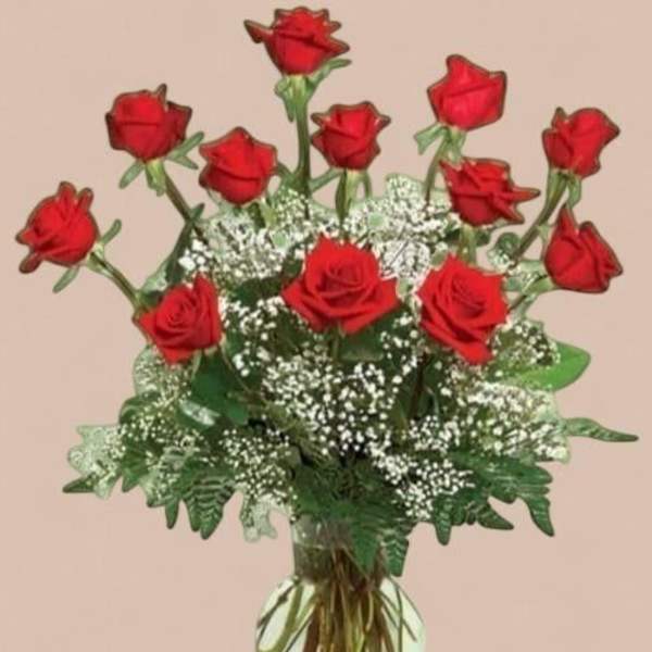 Dozen Red Roses Special