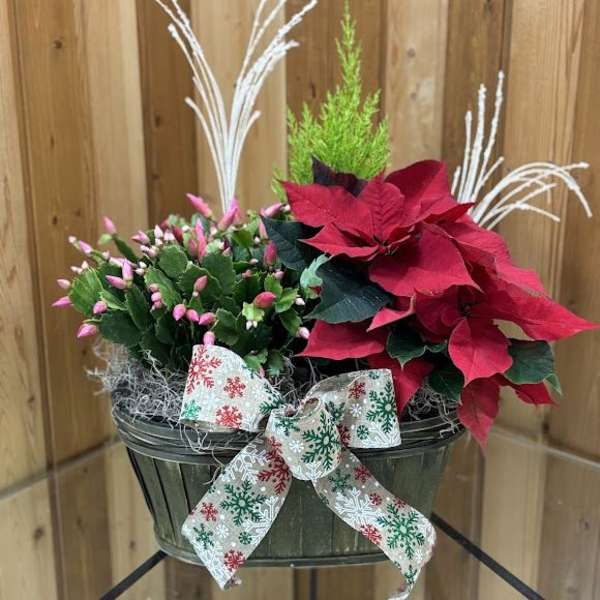 Poinsettia and pink bud arrangement in a green basket with a snowflake ribbon