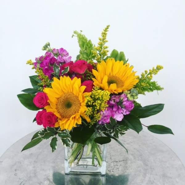 Flower Fields