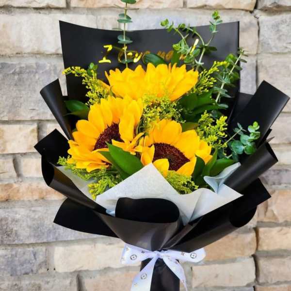 gira girasol