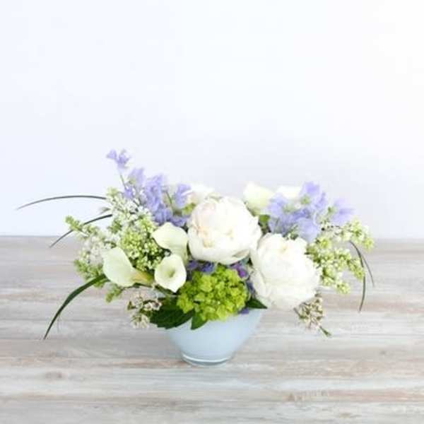 Lavender & Lace