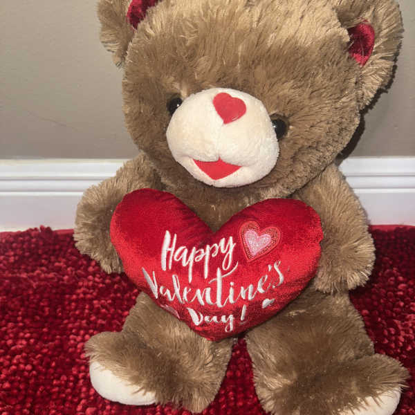 Brown teddy bear holding a red heart with Valentine's Day text
