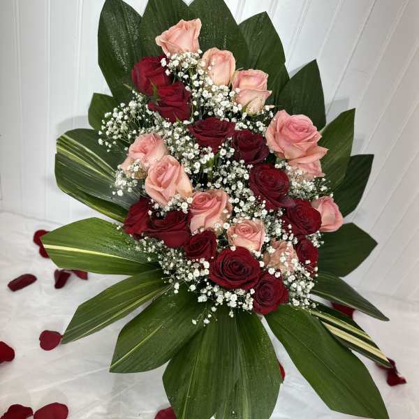 24 rosas