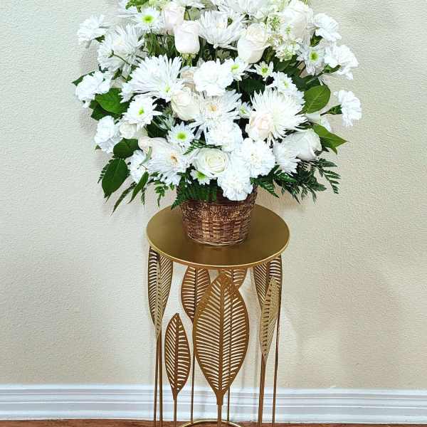White Sympathy