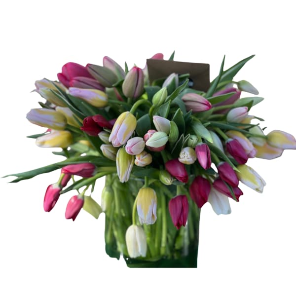 All seasonal blooms