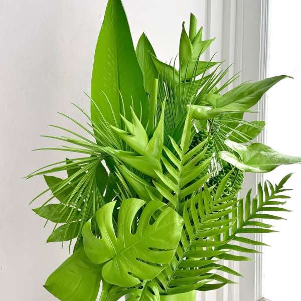 Tropical green