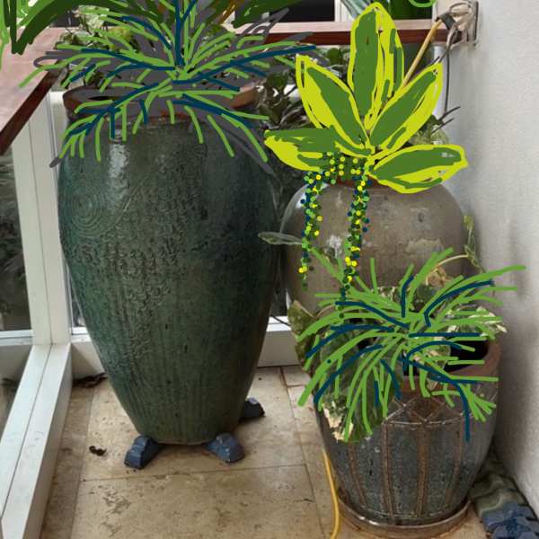 Garden installation and plant delivery