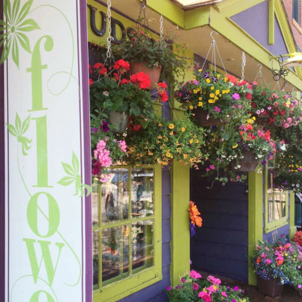 Flower shop storefront with hanging baskets and potted blooms