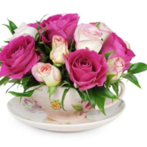 Pink and white roses arranged in a floral teacup on a saucer