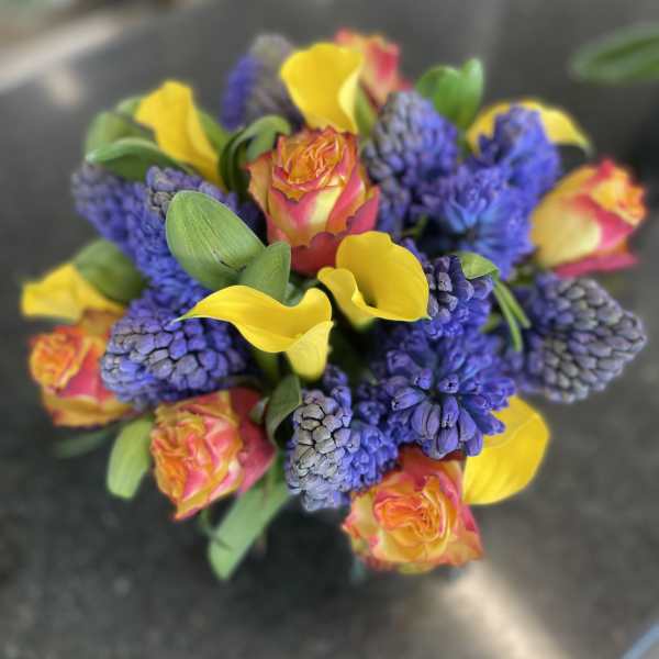 Hyacinth and Sunshine