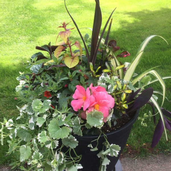 Sending Love Planter