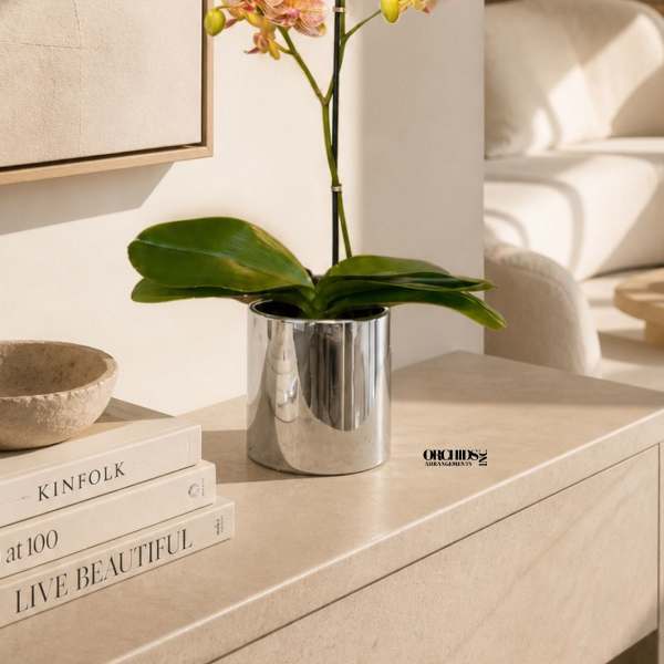 Peach Phalaenopsis Orchid – Same Day Orchid Delivery Miami