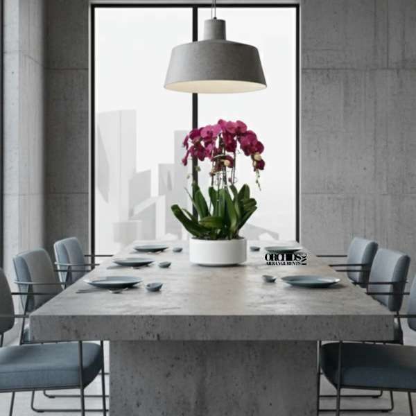 Charming Orchid Miami
