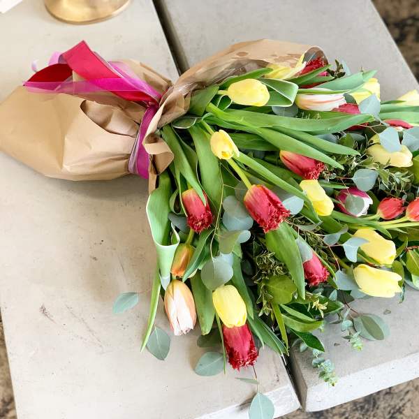 Tulip Gallore