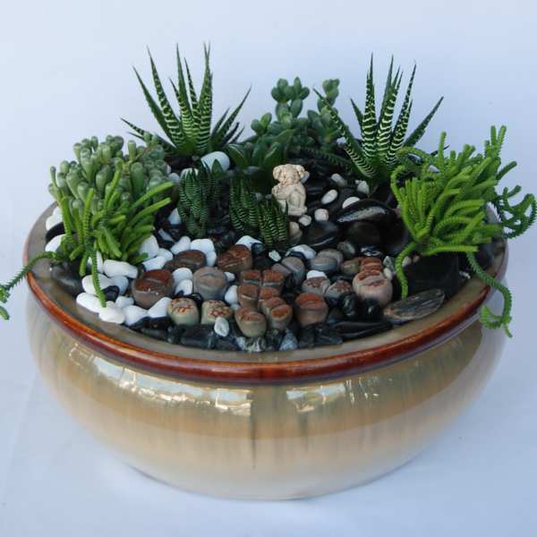 Zen Garden