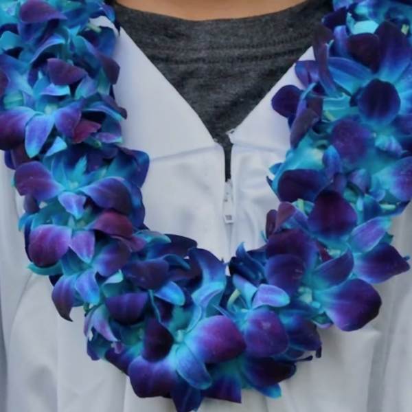 Blue and purple flower lei draped over a white jacket
