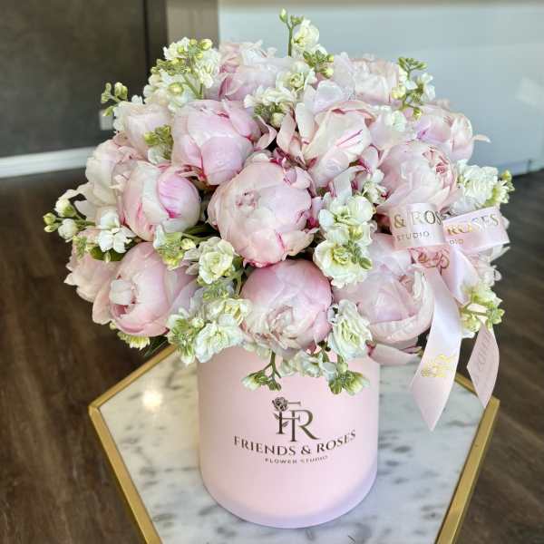 Petite Peonies