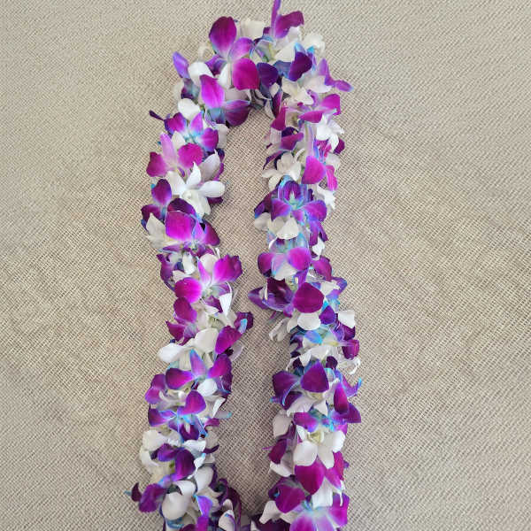 Graduation Double Orchid Lei