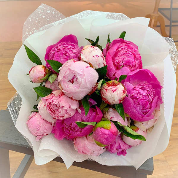 Wrapped bouquet of pink peonies with water droplets in white paper