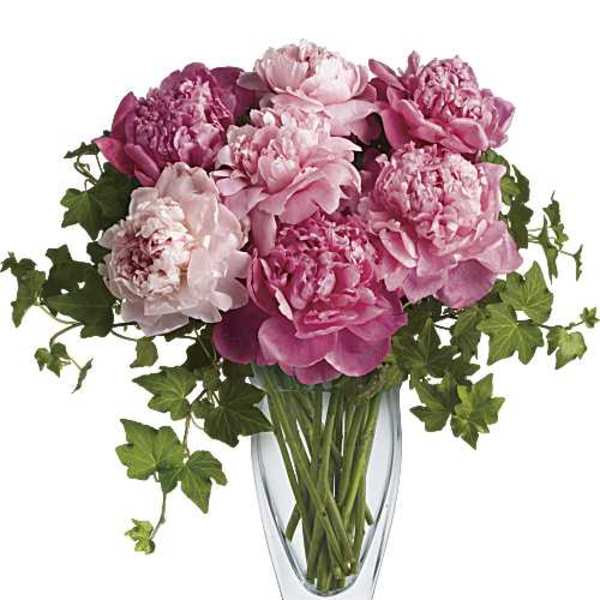 Perfectly Peonies