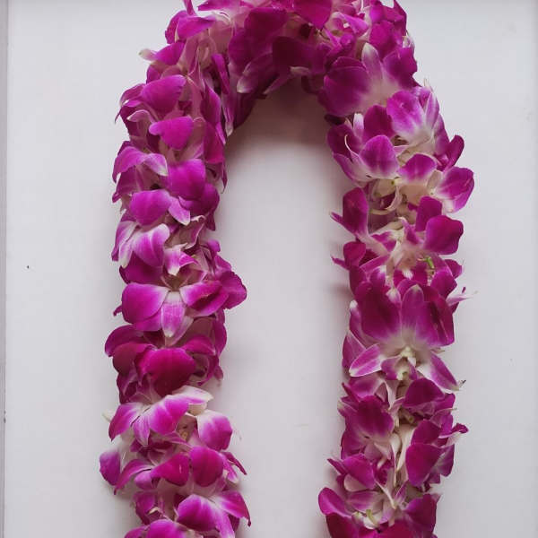 Deluxe Purple Lei