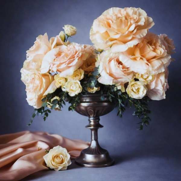 Apricot Silk