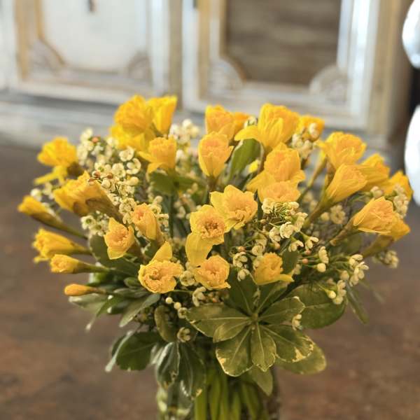 Golden Spring Glow