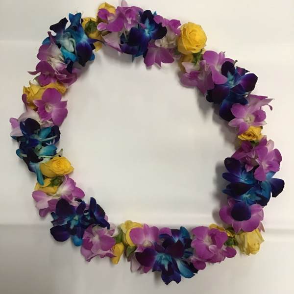 Lei 27