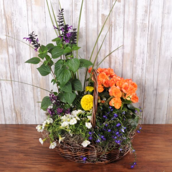 Blooming Annual Garden Basket