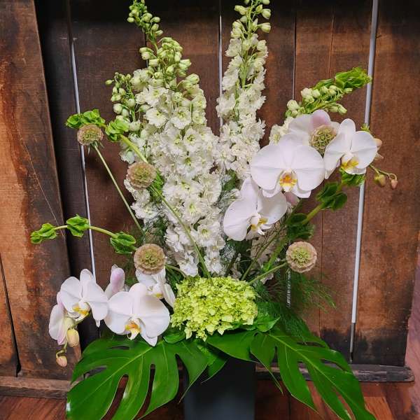 White orchids and tall white blooms in a black vase with large green leaves