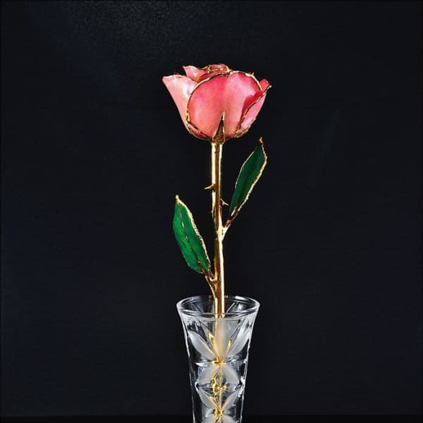 Preserved Pink 24KT Gold Rose in Display Vase