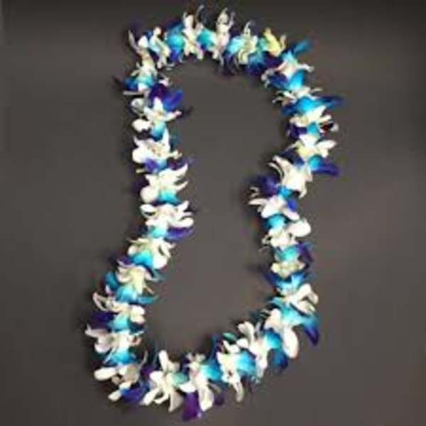 A blue, white, and purple flower lei on a dark background