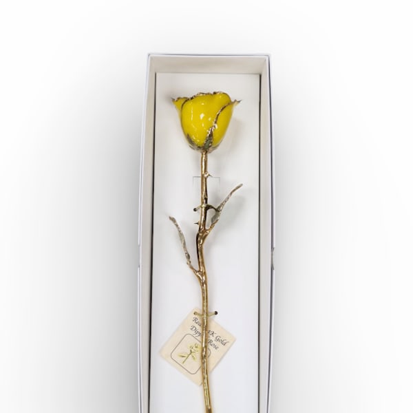 Preserved Yellow 24KT Gold Rose