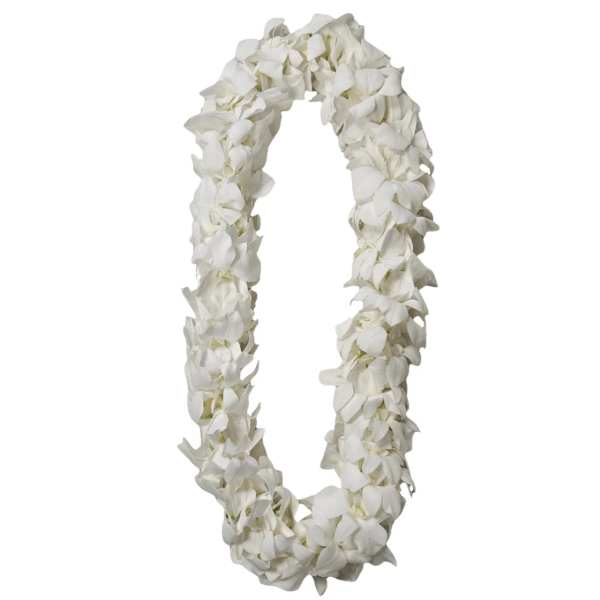 Orchid Lei Double White