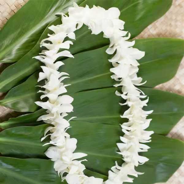 White flower lei on large green leaves