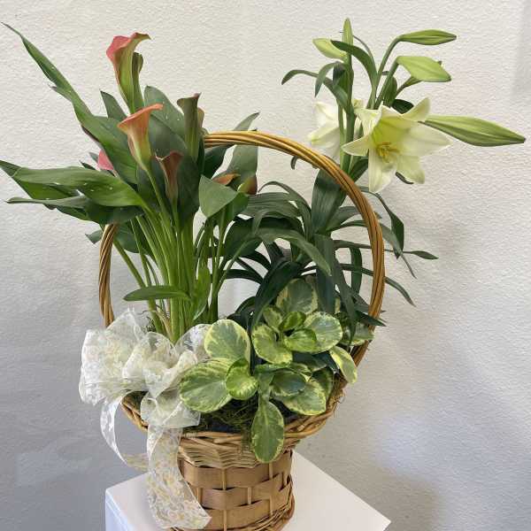 Spring Planter