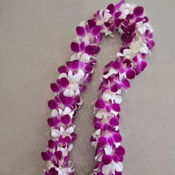 Graduation Double Orchid Lei -two tones
