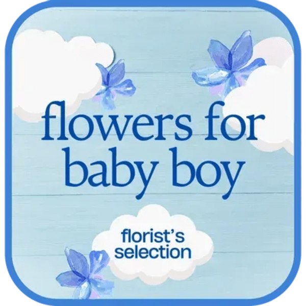 Designer's Choice - Baby Boy $150