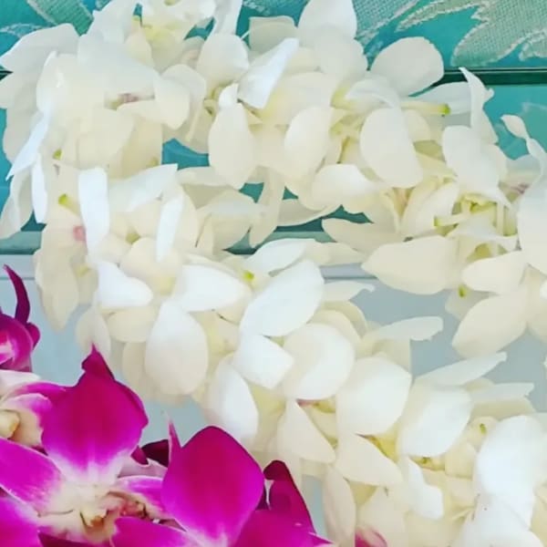 White orchid garland with a few magenta orchid blooms