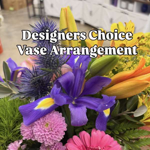 Montclair Flowers and Gifts Designer's Choice Floral Arrangement In A Vase