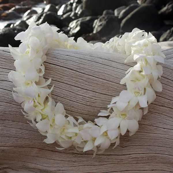 Double Orchid Lei – White