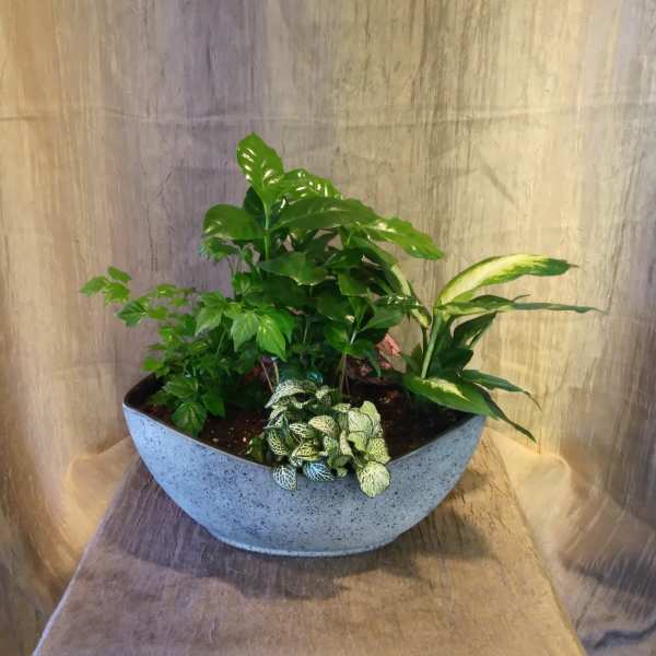 Stone Egg Planter ~ Flower A Day