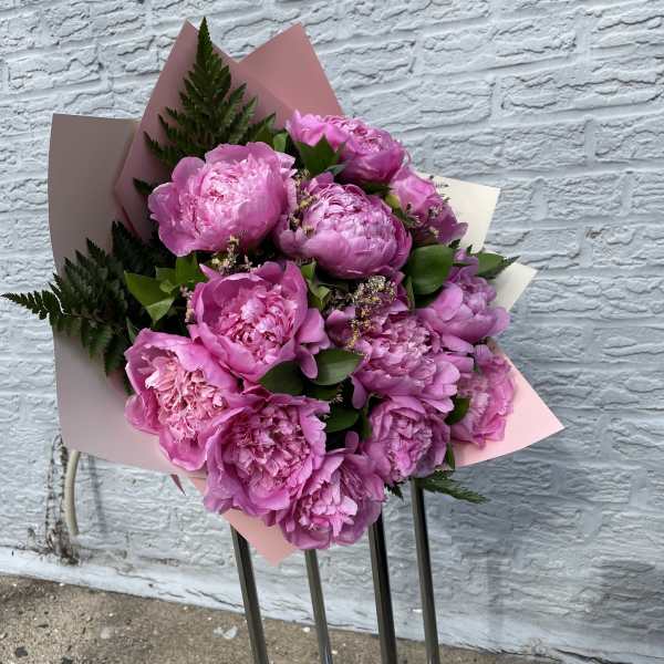 Bouquet of pink peonies wrapped in pastel paper