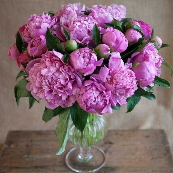 Pink peonies arranged in a clear glass vase