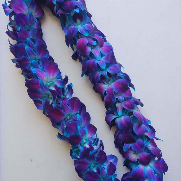 Blue orchid Lei