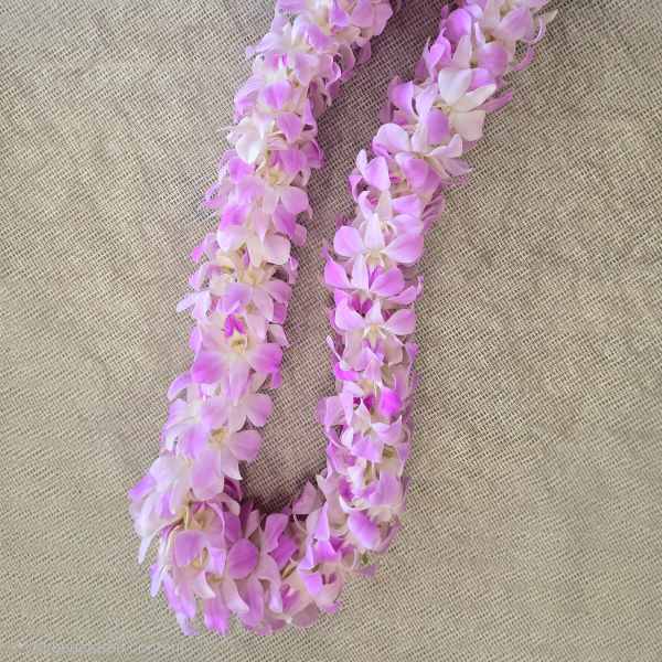 Graduation Double Orchids Lei