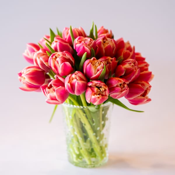 Pink tulips arranged in a clear glass vase
