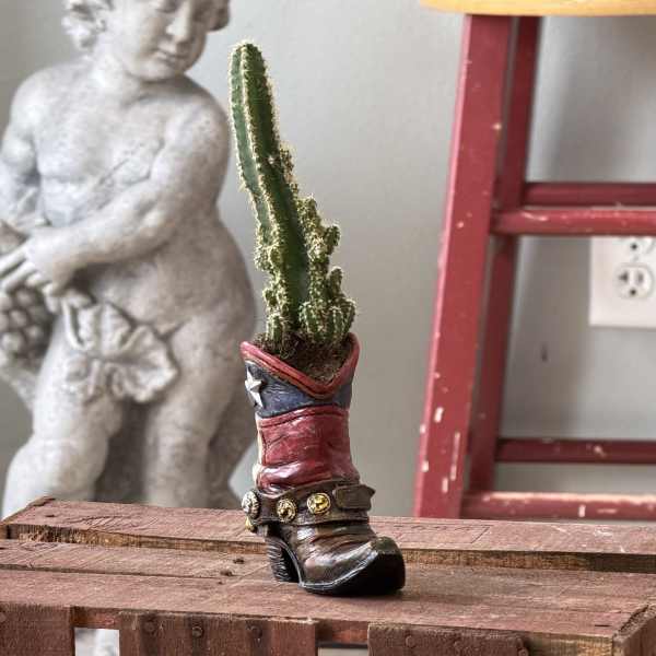 country succulent